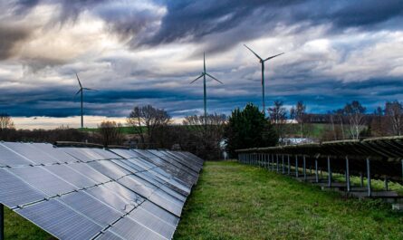 découvrez l'importance de l'entretien des panneaux photovoltaïques pour optimiser leur performance et prolonger leur durée de vie. apprenez les meilleures pratiques de maintenance pour garantir une production d'énergie solaire efficace et durable.