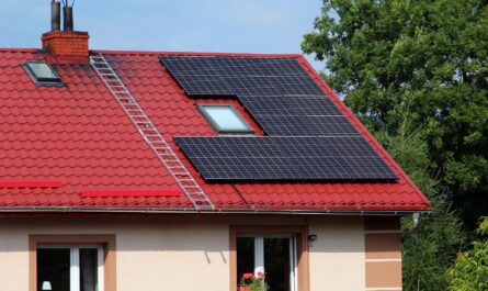 Panneaux solaires