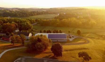 découvrez l'énergie photovoltaïque, une solution durable pour produire de l'électricité à partir du soleil. apprenez comment installer des panneaux solaires, leurs avantages écologiques et économiques, ainsi que les innovations récentes dans ce secteur en pleine croissance.