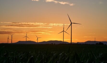 investissez dans l'énergie éolienne domestique et découvrez comment cette source d'énergie renouvelable peut réduire vos factures d'électricité tout en préservant l'environnement. bénéficiez d'une solution durable et rentable pour votre foyer.