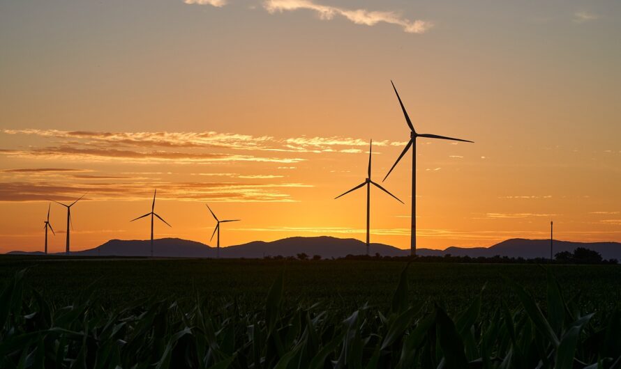 Pourquoi investir dans l’éolien domestique ?