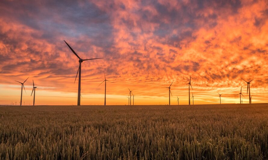 Pourquoi les agriculteurs adoptent-ils les énergies renouvelables ?