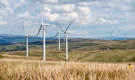découvrez les avantages et l'importance des énergies renouvelables pour un avenir durable. explorez les différentes sources d'énergie verte, leurs impacts sur l'environnement et les innovations technologiques qui transforment notre façon de produire et de consommer l'énergie.