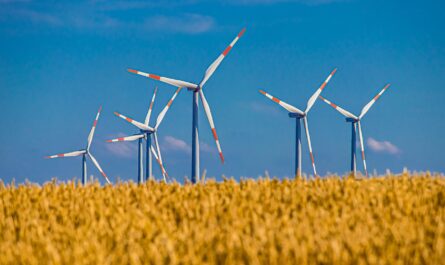 énergies renouvelables