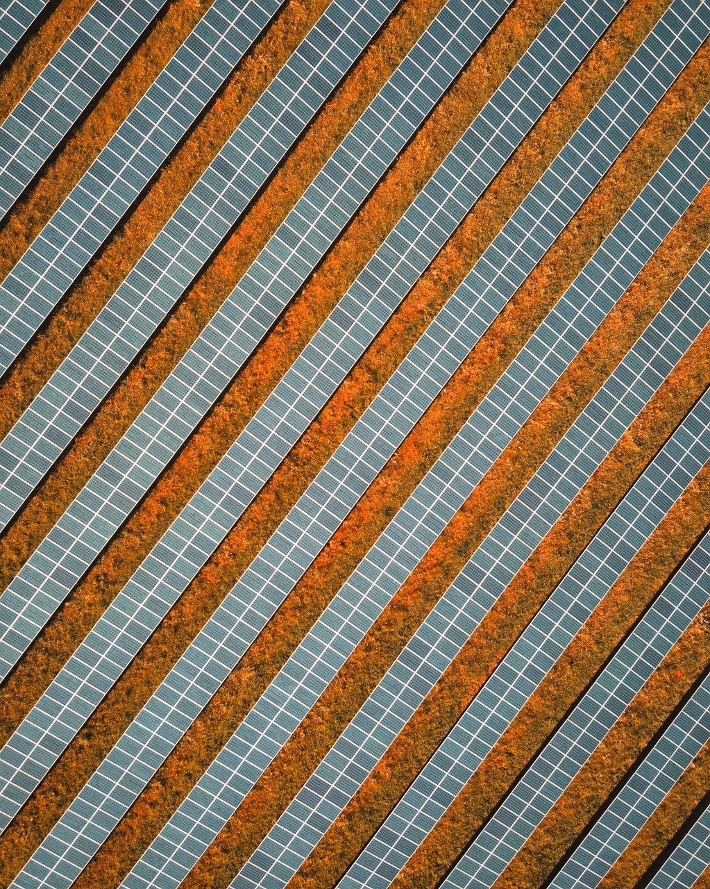 découvrez les panneaux photovoltaïques hybrides, alliant performance et efficacité énergétique. optimisez votre production d'énergie solaire tout en profitant d'une solution durable pour votre habitation ou votre entreprise. informez-vous sur cette technologie innovante et ses avantages.