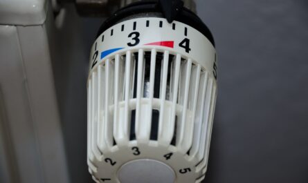 les thermostats