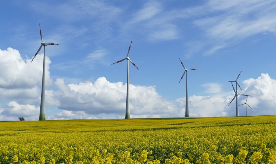 L’avenir de l’hydrogène vert dans les énergies renouvelables.