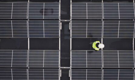 panneaux solaire