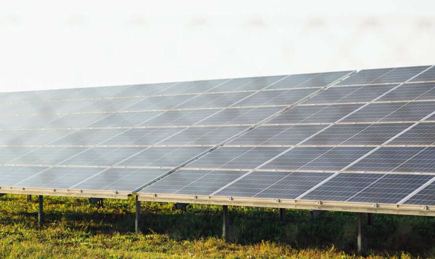 Installer des panneaux photovoltaïques : pourquoi faire appel à un professionnel certifié ?