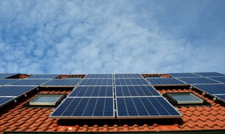 panneaux solaire