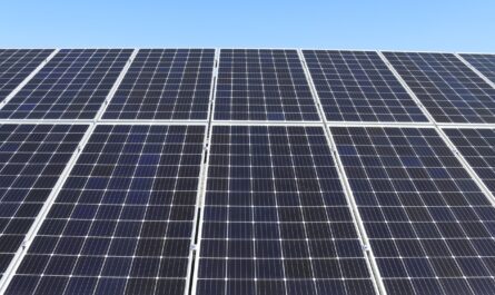 panneaux solaire