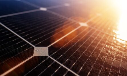 panneaux solaire