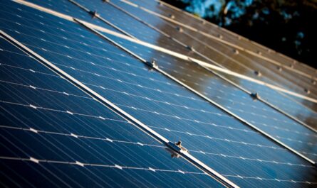 panneaux solaire