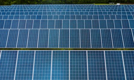 panneaux solaire