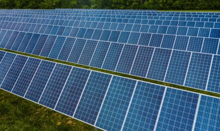panneaux solaire