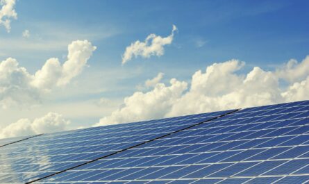 panneaux solaire