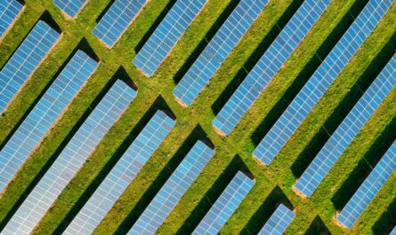 panneaux solaire