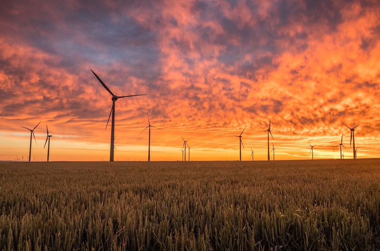 découvrez les avantages des énergies renouvelables, leur impact sur l'environnement et les innovations qui transforment notre avenir énergétique. apprenez comment ces sources d'énergie durables contribuent à la lutte contre le changement climatique et favorisent un développement plus vert.