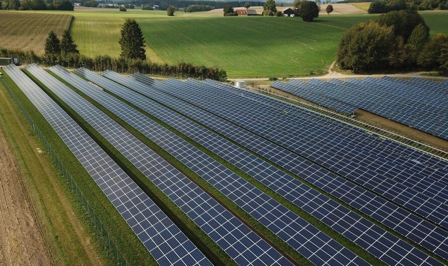 Énergies renouvelables : quels impacts sur la biodiversité ?